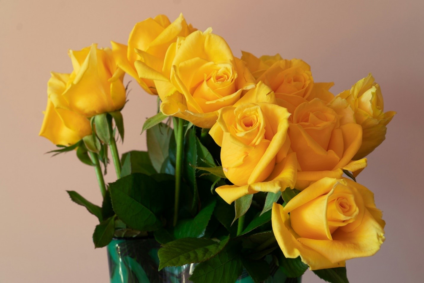 להרשים את האהובים עליכם: המדריך לקניית זר פרחים